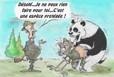 c'est cool un panbou et une personne est  entrés de baiser c'est cool