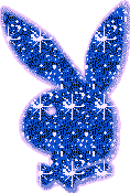 un lapin brillant